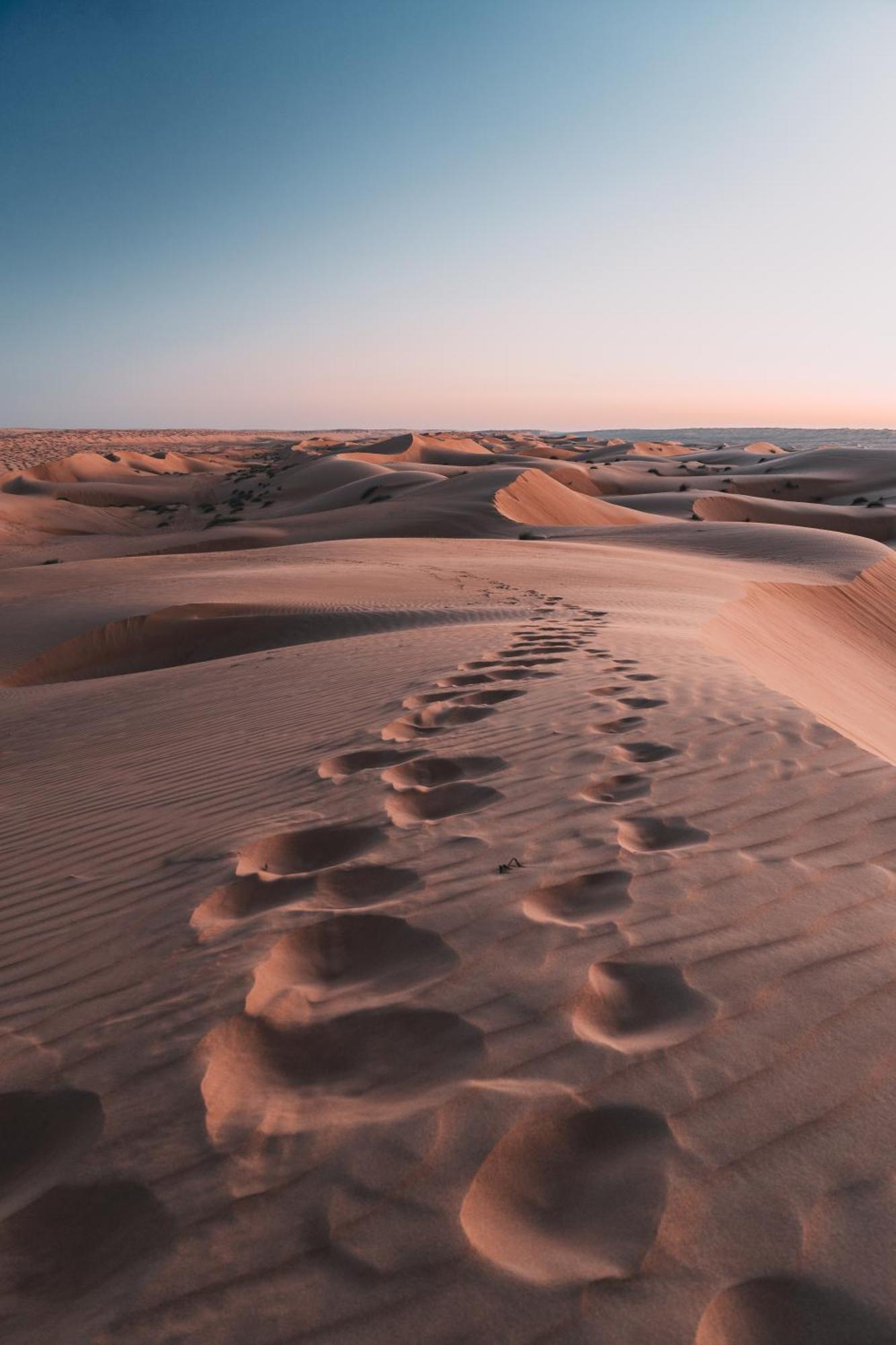 Hamood Desert Private Camp Al Wasil Ngoại thất bức ảnh